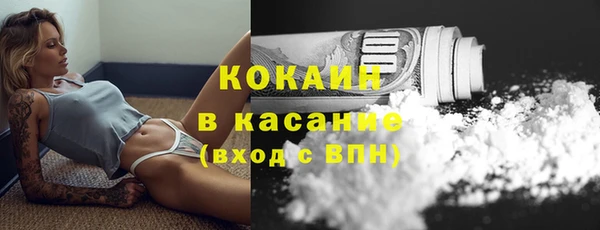 твердый Аркадак