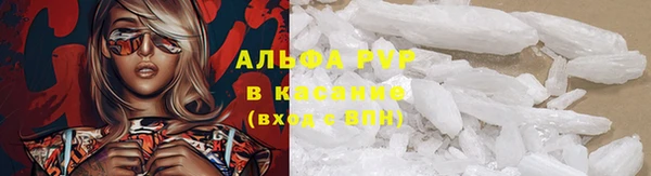 экстази Арсеньев