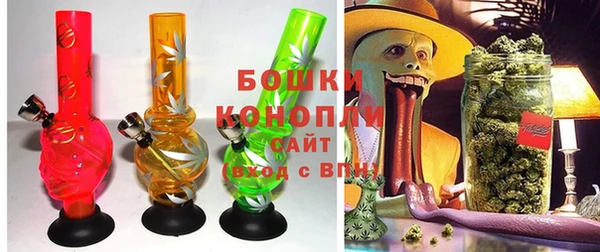 твердый Аркадак