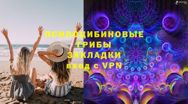 твердый Аркадак