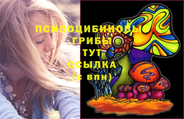 твердый Аркадак