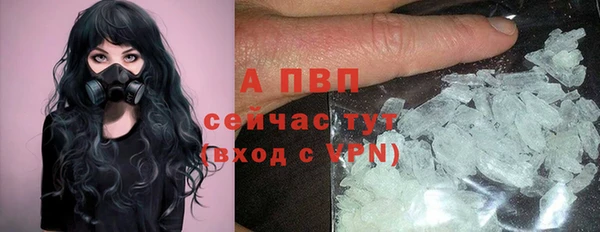 экстази Арсеньев