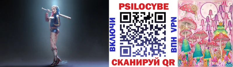 Галлюциногенные грибы Psilocybine cubensis  наркотики  Сланцы 